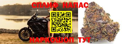 мдпв Конаково