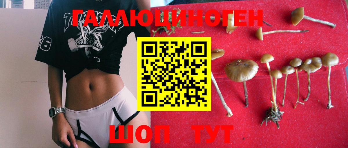 Галлюциногенные грибы GOLDEN TEACHER  Вход с VPN  Галлюциногенные грибы MAGIC MUSHROOMS  Киселёвск 